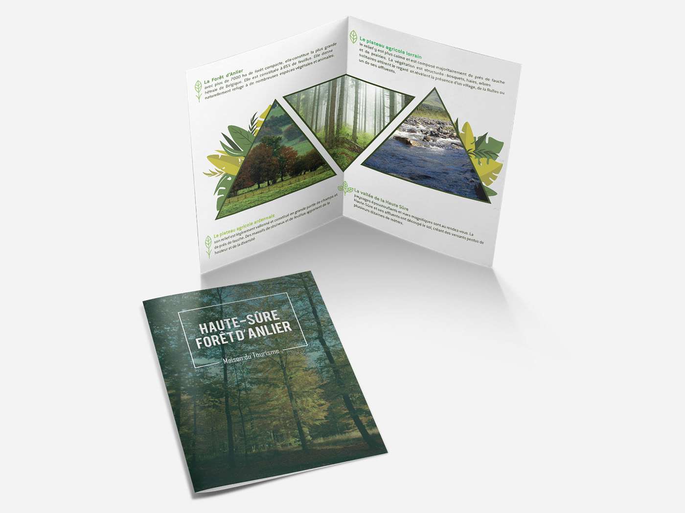 Brochure : Haute-Sûre Forêt D'Anlier (Maison du Tourisme)